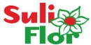 SULI FLOR logo
